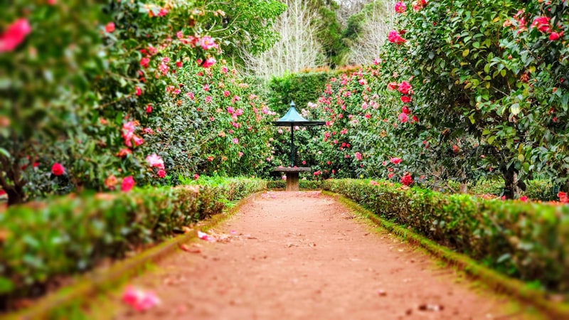 Garden & Nature